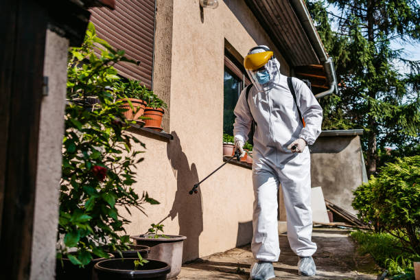Best Pest Control Near Me  in Edgewater, MD