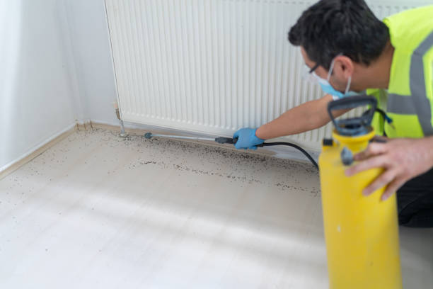Best Best Pest Control Companies  in Edgewater, MD