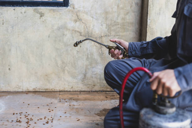 Pest Control for Restaurants in Edgewater, MD