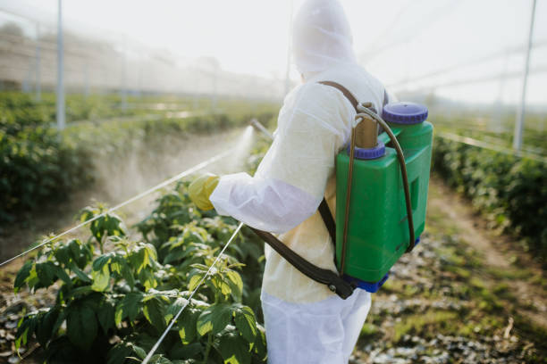 Best Exterminator Services  in Edgewater, MD